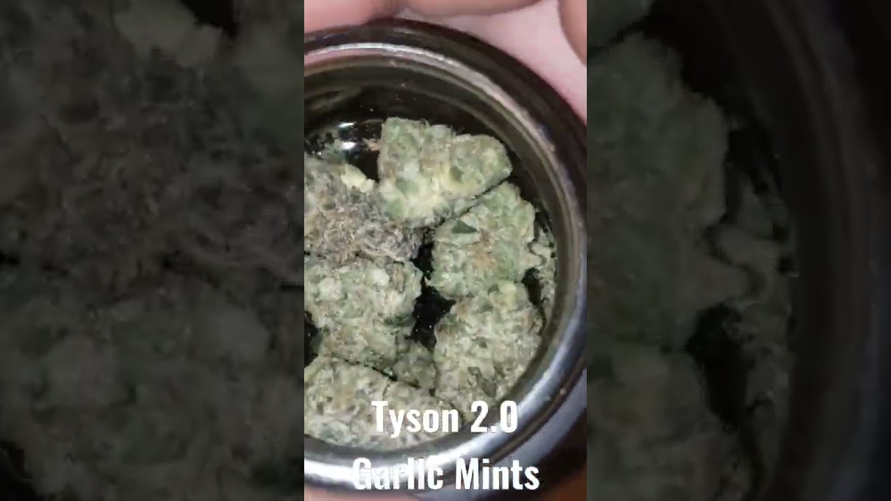 Tyson 2.0 Garlic Mints