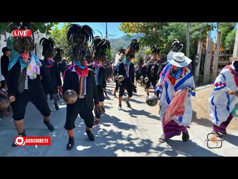 Tejorones De Pinotepa De Don Luis &Quot;Raa Ndoo Yu'U&Quot; En Casa De La Reina Del Carnaval Indígena 2023