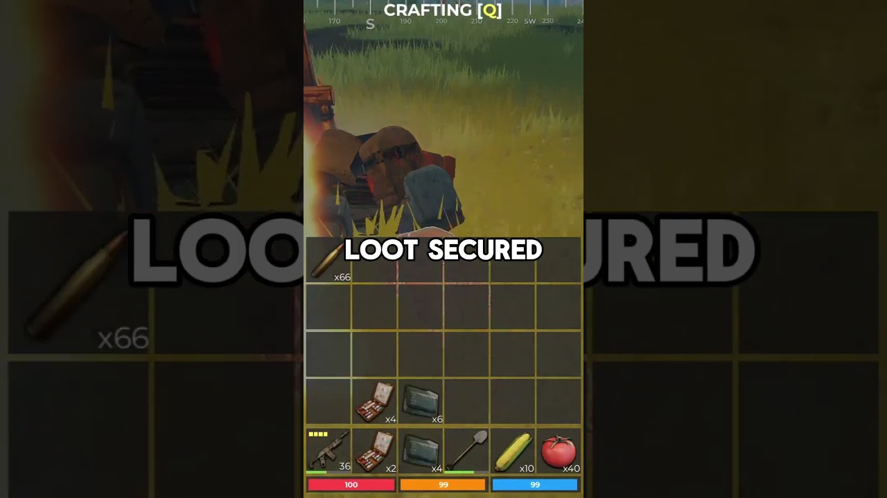 THE PERFECT TEAMMATE IN FALLEN SURVIVAL 