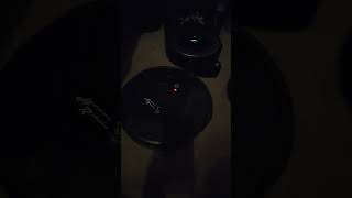 I set three different languages on three of my iRobot roombas