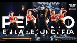 🐕EO en la secundaria TWENTY DANCE ► EFFECTS FILM