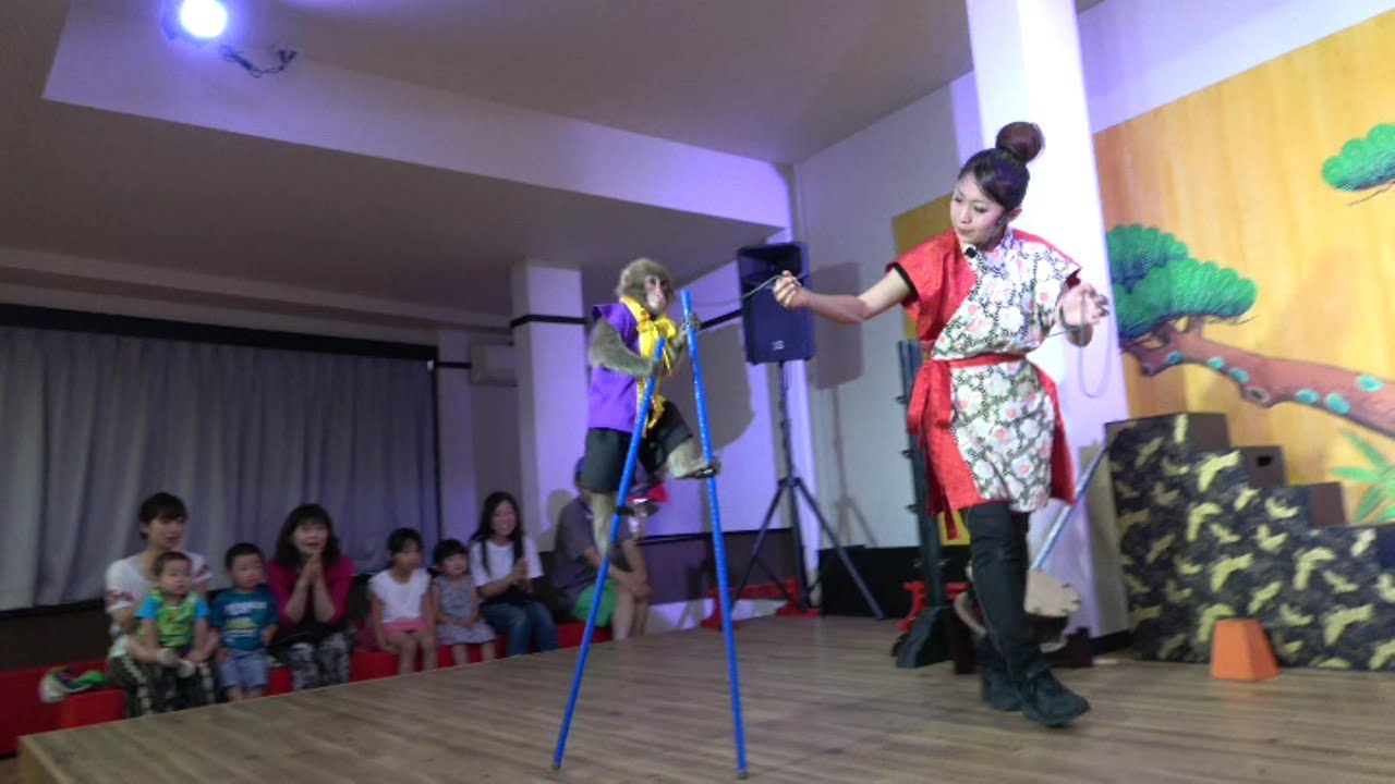 猿スゲ～技！ 「厳島劇場」