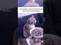 wkwkw #makan #memes #music #subrek #jjmykisah #bismillahfyp #rameindong #komen #like