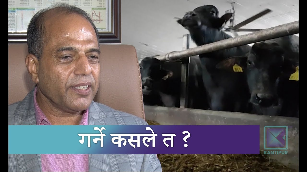 अत्याधुनिक वधशाला निर्माणमा मन्त्रालयकै बेवास्ता | Kantipur Samachar news headlines uk