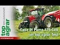 Case IH Puma 175 CVX im top agrar-Praxistest