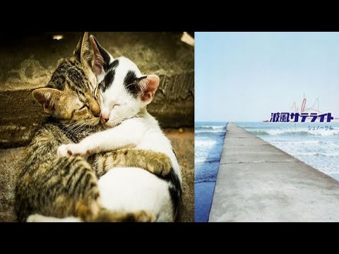 【DTX】【えるある】波風サテライト【Autoplay】