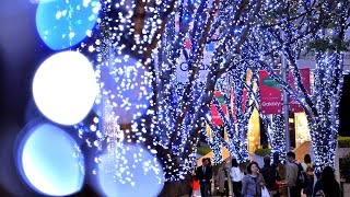 六本木けやき坂通り　クリスマスイルミネーション