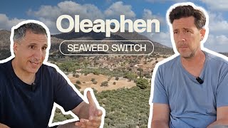 Seaweed Switch | Oleaphen