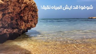 جولة في شاطئ الرأس الأبيض في الرايس في السعودية مع الأصدقاء ضمن رحلة كروز السعودية