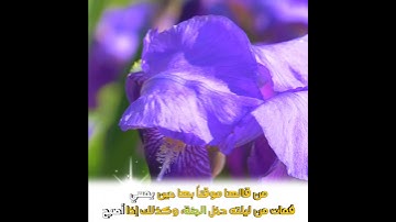 من أذكار الصباح ☀️ وسيد الاستغفار 🌻اللهم أنت ربي لا إله إلا أنت، خلقتني وأنا عبدك، بصوت 🎧 إدريس أبكر