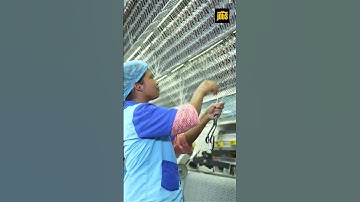 How Skilled Workers Keep Processes Smooth and Error-Free | Skillworkers | Jobs for My CV