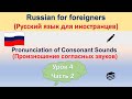 Произношение согласных звуков. Урок 4. Часть 2 Pronunciation of Consonant Sounds. Lesson 4. Part 2