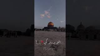 اليوم وغدا القدس لنا ما تزعلي يا حبيبة قلبي حالات واتس اب وتك توك 