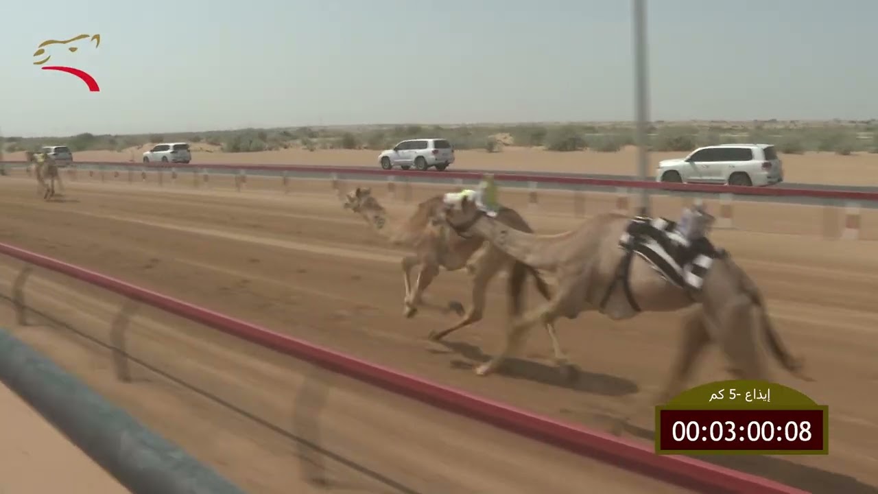 سباق الإيذاع – لهباب 03-03-2026 ش1 مياسه لـ الشيخ محمد بن مكتوم بن راشد آل مكتوم  7:32