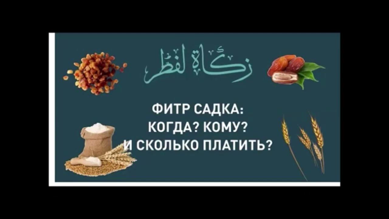 Фитр садака в 2025 в башкирии. Фитр садака в 2025 в башкирии