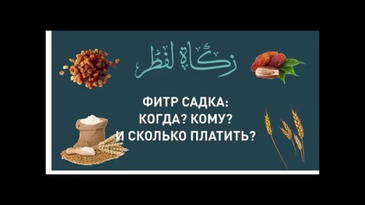 Фитр садака когда нужно платить 2024. Fitir Sadaqa rasm. Фитр-садака в Башкирии в 2023 году.