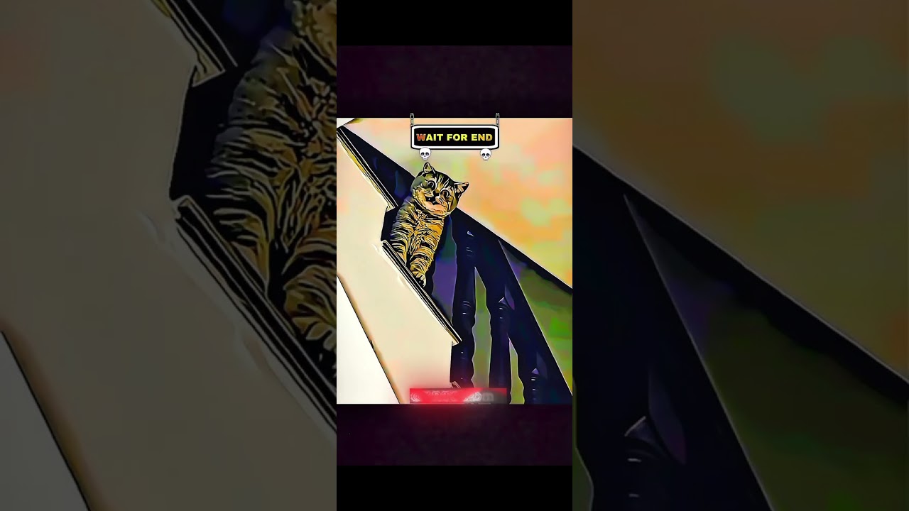 Nisan Skyline r34￼