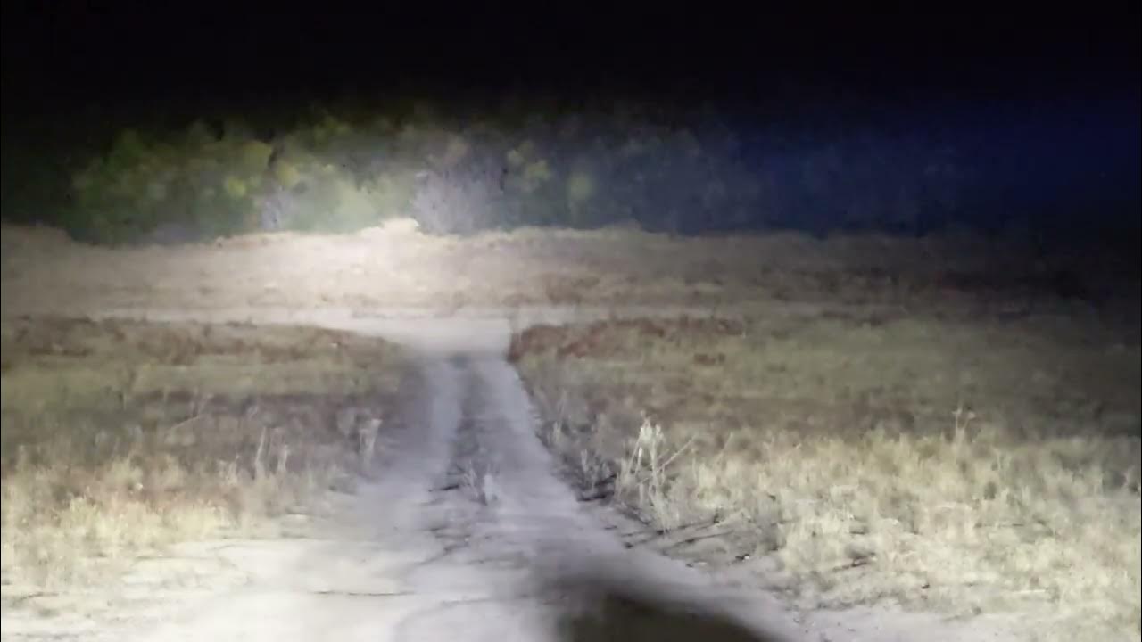 Baja Designs ONX6+ vs KC Pro6 Lightbar / Baja Designs vs Rigid Pods