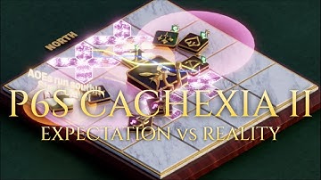 FF14: P6S Cachexia II - Expectation vs Reality