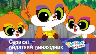 Юху та його друзі — Сезон 1 - Серія 31. Сурикат — видатний винахідник