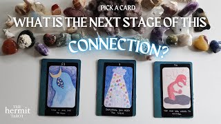 💘 What Is The Next Stage In This Connection? 🔮 Pick A Card Tarot Reading