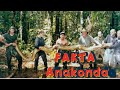 fakta Om Anakonda- Anakonda största tyngsta orm- fakta om Djur