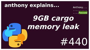 how I fixed a 9GB memory leak in cargo (rust) (intermediate) anthony explains #440