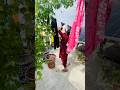 Maine Dhule hair sare Kapade #minivlog #vlog #blog {