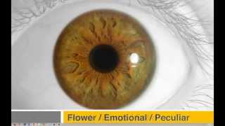 Personality Iridology