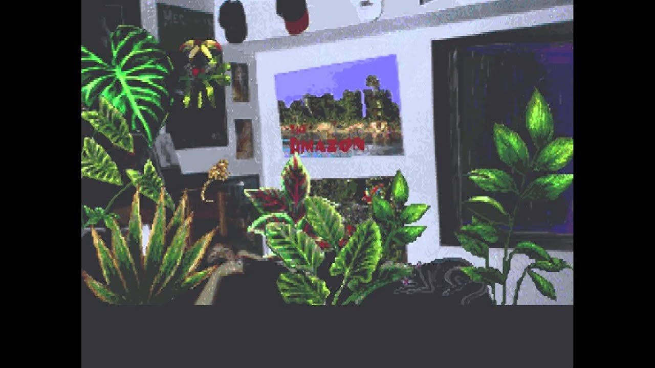 Amazon Trail Intro - HD