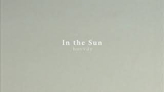 Watch Hovvdy In The Sun video