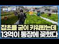 남들 안 하는 거 계속했더니 인생이 바뀌었다, 담양에서 손꼽히는 맛집이 된 이유|한국기행|#골라듄다큐