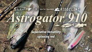 Astrogator 910