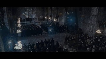 Harry Potter- Hedwig