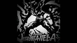 BOTA BOTA NELA BRAZILIAN FUNK (SLOWED) DJ ALEX DA BJ