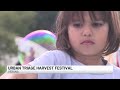 Urban Triage hosts fifth annual Harvest Festival in Verona after weather delay