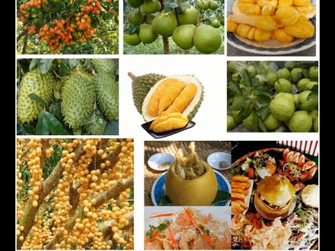 Video Đặc sản trái cây của tỉnh Đồng Nai - youtube