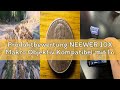 Produktbewertung NEEWER 10X Makro Objektiv Kompatibel mit Insta360 Ace Pro/Ace Pro 2 Action Cam, Nic