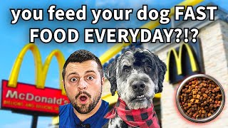 WHY we STARTED dog treat business in 2026!