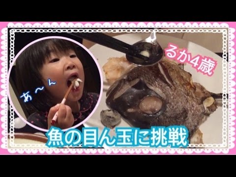 グロ注意 魚の目玉に挑戦 るか4歳 Youtube