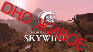 Skywind всё ещё жив | что это и насколько готово