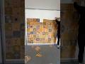 Primary School Pupils Design a Plant-Dyed Community Quilt