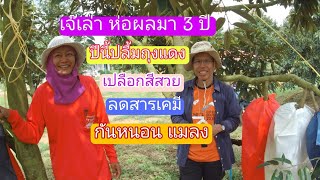 JN-EP72 ผลลัพธ์ของการห่อผล ถุงห่อช่วยป้องกันหนอน แมลง ส่งเสริมการเติบโตและคุณภาพของผลทุเรียน