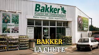 Bakker and the Failure of Industrial Baking: The Fall of a Revolutionary Concept