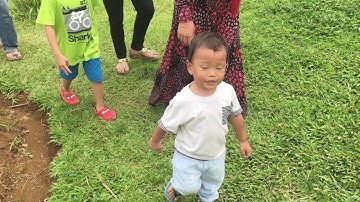 Kepleset di Kebun Jagung Kuntum Farmfield Nurseries Bogor