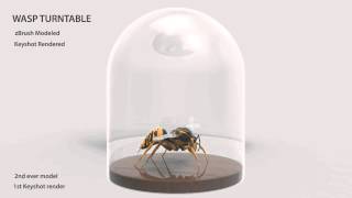 Wasp Turntable - Zbrush Keyshot