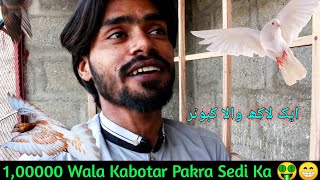 💵Hareef Ka 1,00000🤑 Wala Kabotar Pakra || 🤑 by Rehan Äzam Birds 1,466 views 1 month ago 9 minutes, 9 seconds