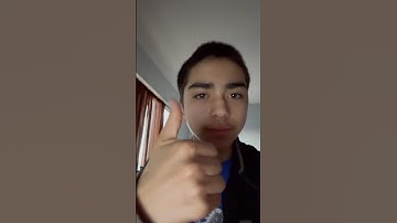 Day 166 of reading the bee movie script