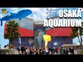 🇯🇵Osaka Aquarium "Kaiyukan" [海遊館] Travel Guide by Local Osakan Japanese! #218