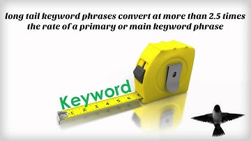 Google Hummingbird- The latest in Google